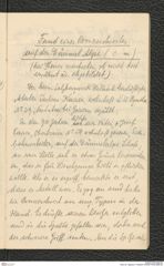 Seite 29, Tagebuch "Hallstatt" (NHMW-PRAE-BBB-90)